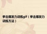 拳擊爆發(fā)力訓(xùn)練gif（拳擊爆發(fā)力訓(xùn)練方法）