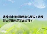 違反禁止標線指示怎么復(fù)議（違反禁止標線指示怎么處罰）