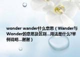 wonder wander什么意思（Wander與Wonder的意思及區(qū)別...用法是什么?舉例說明...謝謝）