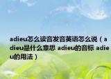 adieu怎么讀音發(fā)音英語(yǔ)怎么說(shuō)（adieu是什么意思 adieu的音標(biāo) adieu的用法）