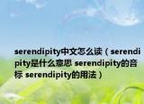 serendipity中文怎么讀（serendipity是什么意思 serendipity的音標(biāo) serendipity的用法）
