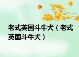 老式英國斗牛犬（老式英國斗牛犬）