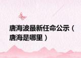 唐海波最新任命公示（唐海是哪里）