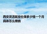 西安靈活就業(yè)社保多少錢一個(gè)月具體怎么繳納