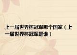 上一屆世界杯冠軍哪個國家（上一屆世界杯冠軍是誰）