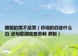 眼前的黑不是黑（你說的白是什么白 這句歌詞啥意思啊 費解）