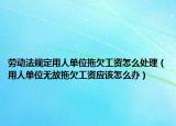 勞動(dòng)法規(guī)定用人單位拖欠工資怎么處理（用人單位無故拖欠工資應(yīng)該怎么辦）