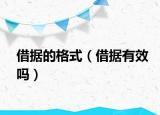 借據(jù)的格式（借據(jù)有效嗎）