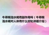 牛蒡根泡水喝有副作用嗎（牛蒡根泡水喝對人體有什么好處詳細介紹）