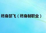 終身禁飛（終身制職業(yè)）