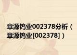 章源鎢業(yè)002378分析（章源鎢業(yè)[002378]）