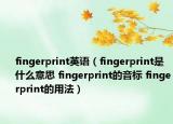 fingerprint英語（fingerprint是什么意思 fingerprint的音標 fingerprint的用法）
