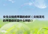 女生尖銳疣早期的癥狀（尖銳濕尤的早期癥狀是什么樣的）