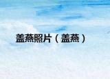 蓋燕照片（蓋燕）