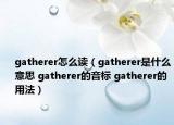 gatherer怎么讀（gatherer是什么意思 gatherer的音標(biāo) gatherer的用法）