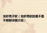 龍蝦殼子軟（龍蝦殼軟的是不是不新鮮詳細(xì)介紹）