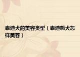 泰迪犬的美容類型（泰迪熊犬怎樣美容）