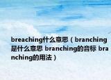 breaching什么意思（branching是什么意思 branching的音標(biāo) branching的用法）