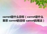 carrot是什么音標(biāo)（carrot是什么意思 carrot的音標(biāo) carrot的用法）