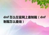 dnf 怎么在官網(wǎng)上查制裁（dnf制裁怎么查詢）