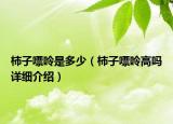 柿子嘌呤是多少（柿子嘌呤高嗎詳細介紹）