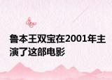 魯本王雙寶在2001年主演了這部電影