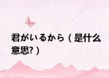 君がいるから（是什么意思?）