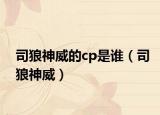 司狼神威的cp是誰（司狼神威）