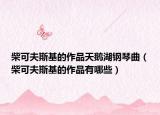 柴可夫斯基的作品天鵝湖鋼琴曲（柴可夫斯基的作品有哪些）