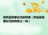 刑拘是刑事處罰的種類（拘役是刑事處罰的種類之一嗎）
