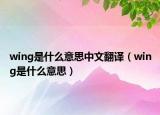 wing是什么意思中文翻譯（wing是什么意思）