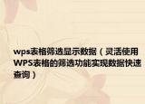 wps表格篩選顯示數(shù)據(jù)（靈活使用WPS表格的篩選功能實(shí)現(xiàn)數(shù)據(jù)快速查詢）