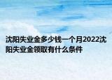 沈陽失業(yè)金多少錢一個(gè)月2022沈陽失業(yè)金領(lǐng)取有什么條件