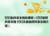 釘釘?shù)墓蚕砦臋n在哪里（釘釘如何共享文檔 釘釘云盤(pán)如何共享文檔介紹）