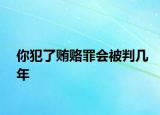 你犯了賄賂罪會被判幾年