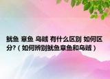 魷魚(yú) 章魚(yú) 烏賊 有什么區(qū)別 如何區(qū)分?（如何辨別魷魚(yú)章魚(yú)和烏賊）