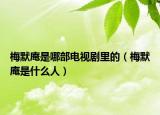 梅默庵是哪部電視劇里的（梅默庵是什么人）