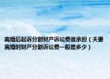 離婚后起訴分割財產(chǎn)訴訟費(fèi)誰承擔(dān)（夫妻離婚時財產(chǎn)分割訴訟費(fèi)一般是多少）
