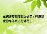車輛違反禁停怎么處罰（違反禁止停車怎么進(jìn)行處罰）