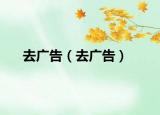 去廣告（去廣告）