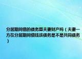 分居期間借的債務(wù)算夫妻財產(chǎn)嗎（夫妻一方在分居期間借錢該債務(wù)是不是共同債務(wù)）