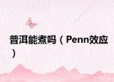 普洱能煮嗎（Penn效應(yīng)）