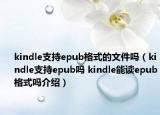 kindle支持epub格式的文件嗎（kindle支持epub嗎 kindle能讀epub格式嗎介紹）