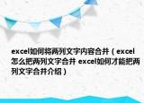 excel如何將兩列文字內(nèi)容合并（excel怎么把兩列文字合并 excel如何才能把兩列文字合并介紹）