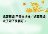 妃要爬墻:王爺來扶梯（妃要爬墻太子殿下快躺好）