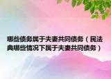 哪些債務(wù)屬于夫妻共同債務(wù)（民法典哪些情況下屬于夫妻共同債務(wù)）