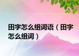 田字怎么組詞語（田字怎么組詞）