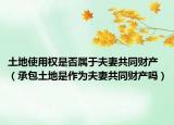 土地使用權(quán)是否屬于夫妻共同財(cái)產(chǎn)（承包土地是作為夫妻共同財(cái)產(chǎn)嗎）