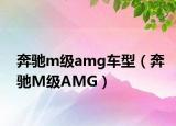 奔馳m級(jí)amg車(chē)型（奔馳M級(jí)AMG）