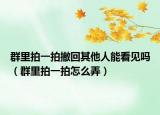 群里拍一拍撤回其他人能看見嗎（群里拍一拍怎么弄）